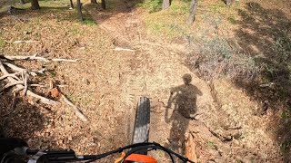 Up to speed DH MTB run [upl. by Domenic]