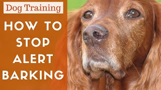 How To Train A Dog To Stop Alert Barking [upl. by Waring]