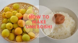 How to make ★Umeboshi★Epic episode〜梅干しの作り方〜EP108 [upl. by Oicinoid970]