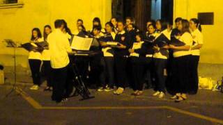 Pueri et Juvenes Cantores della Cattedrale di Fidenza [upl. by Ahsuatan94]