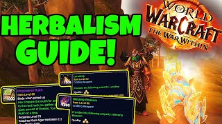 The War Within HERBALISM Guide  Everything NEW in The War Within Profession Overview [upl. by Natlus122]