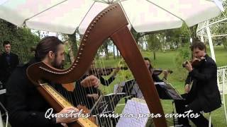 Marcha Nupcial  Mendelssohn Quartilis  Quinteto com harpa [upl. by Sherrard]