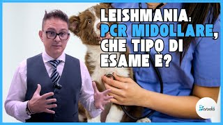 Leishmania perchè è utile la PCR midollare [upl. by Snej]