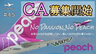 45【peach】約2年ぶり客室乗務員の採用再開！ピーチの概要と求める人材像を解説【エアラインを目指して】 [upl. by Mairhpe]