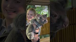 Currumbin Wildlife Sanctuary Gold Coast  Aditi In Australia [upl. by Eedna]