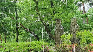 Rainfall on Forest Path with Stone Statues  Relaxing Nature Sounds for Peace  ASMR  8 Hours [upl. by Ayotel305]