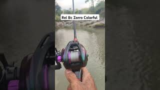 Zing Zing Bc Zorro Colorful tipsmemancing shortvideo fishing mancing feed [upl. by Walford279]