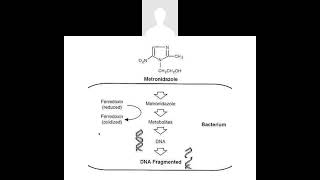 antibioitcs part 12 antiprotozoal drugs [upl. by Etteloiv]