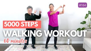 60 Minute Walking Workout for Seniors and Beginners  5000 step workout [upl. by Breech]