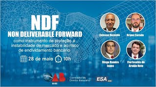 NDF Non Deliverable Forward como Instrumento de Proteção a Instabilidade de Mercado e ao Risco de [upl. by Horwitz]