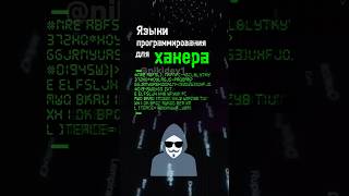 Языки программирования для хакера pentesting programming ethicalhacking python js hack [upl. by Sirrah987]