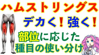 【筋肥大】ハムストリングスの筋トレ｜自重とマシン、場所に応じた使い分けについて【傷害怪我予防】 [upl. by Odlaniger]