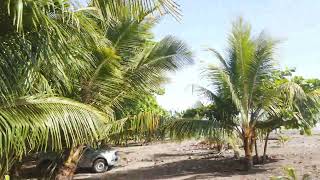 Playa Dominical Costa Rica beach [upl. by Rafter]