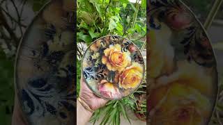 DIY decoupage plate decoupage decoupageideas homedecor [upl. by Ablasor]