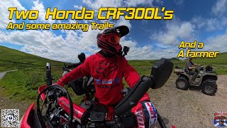 Two Honda CRF300Ls amp a Trail Ruts n HillsFUN [upl. by Gnauq]