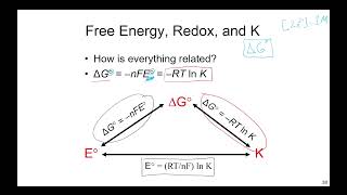 Relating Cell Potential to Gibbs Free Energy  The Nernst Equation [upl. by Qerat]