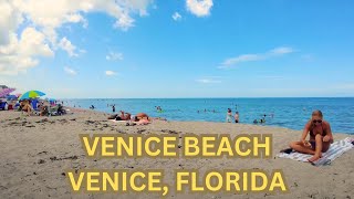 Life in Venice Beach Florida  Venice Florida Summer 2024 Walking Tour 4K [upl. by Sulohcin]