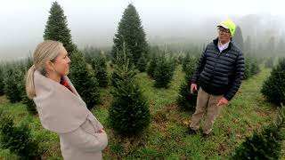 Western NC Christmas Tree Sales [upl. by Wenonah]