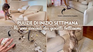 PULIZIE RAPIDE DI INIZIO SETTIMANA🏡 RECENSIONE PRODOTTI PER L’IGIENE DI CASAANTEPRIMA GIOIELLI✨ [upl. by Wittie]