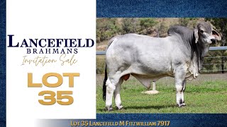 Lot 35 Lancefield M Fitzwilliam 7917 [upl. by Xet]