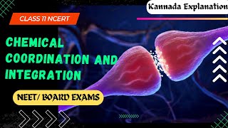 Chemical Coordination and Integration  class 11 explained in kannada [upl. by Ynatsyd]