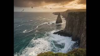 Coastline Cliffs and Seabirds [upl. by Aseyt]