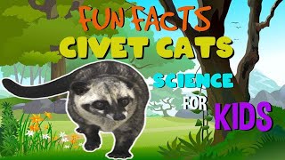 Fun Facts about the Civet Cat  Science Facts for Kids [upl. by Gobert]