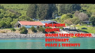 Akaroa Harbour Giant’s House Britomart amp Takapuneke  NZ 2022 South Island Vlog 4 Akaroa Day 2 [upl. by Ahcsropal]