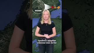 Nykvarns kommuns efterlysning En tre meter orm på rymmen [upl. by Eade]