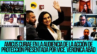 AMICUS CURIAE audiencia de AP presentada por la Vicepresidenta Verónica Abad por la suspencíon de [upl. by Lenka]