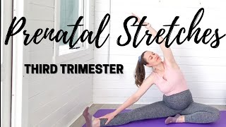 MY THIRD TRIMESTER PREGNANCY STRETCH ROUTINE  Prenatal Stretches  LEMon Yoga [upl. by Eceer]