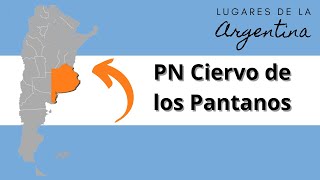 PN Ciervo de los Pantanos Buenos Aires [upl. by Frager]