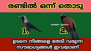 രണ്ടിൽ ഒന്ന് തൊടു നിങ്ങളെ തേടി എത്തുന്ന മഹാഭാഗ്യം ഇവയാണ്  jyothisham Malayalam thodukuri [upl. by English]