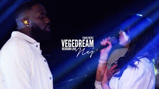 Vegedream feat nej  Pansement live acoustique [upl. by Notrub]