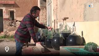 Aquí Sem  A Rivesaltes portrait dun vigneron au naturel [upl. by Orva]