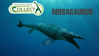 CollectA 2023 Deluxe Mosasaurus review [upl. by Lyle]