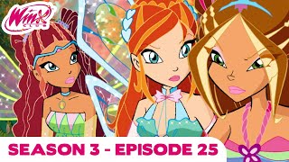 Winx Club  FULL EPISODE  Wizards Anger  Season 3 Episode 25 [upl. by Wilkins137]