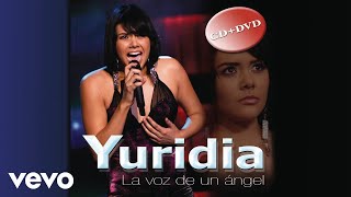 Yuridia  Daría Cover Audio [upl. by Nagek197]