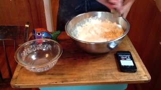 Mixing the Peasant Bread Dough Using Active Dry Yeast [upl. by Phylys]