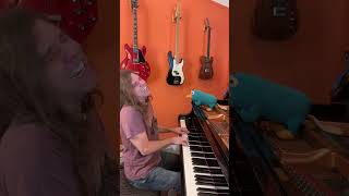 TOM TRAUBERTS BLUES WALTZING MATILDA by TOM WAITS scottchasolen pianocover pianoballad [upl. by Eedyaj377]