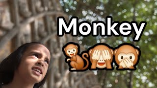 monkey 🤣🤣🤣🤣🤣🤣🤣🤣 [upl. by Eikcor349]