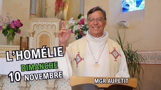 Homélie Mgr Aupetit  10 nov 2024 [upl. by Threlkeld529]