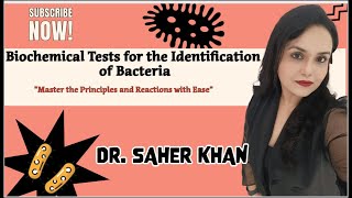 Biochemical Tests  IMViC  Microbiology  Indole  MR  VP  Citrate  BY Dr SAHER KHAN [upl. by Mann372]