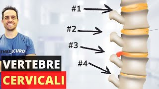 Come risolvere i PROBLEMI alle VERTEBRE CERVICALI esercizi efficacissimi [upl. by Lednic]