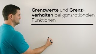 Grenzwert Grenzverhalten bei ganzrationalen Funktionen Limes  Mathe by Daniel Jung [upl. by Luelle222]