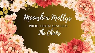 WIDE OPEN SPACES  The Chicks Cover  Moonshine Mollys [upl. by Adnylam88]