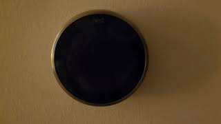 Google nest blinking green LED light [upl. by Holmann483]