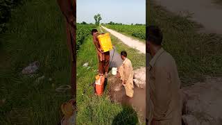 Kapas ki fasla main sapry start villagelife agriculturelife automobile farminglife vlog [upl. by Yak]