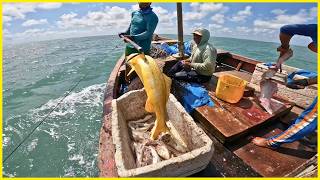 PEIXE ATRÁS DE PEIXE NA PESCARIA EM ALTO MAR  ACERTAMOS NO CARDUME [upl. by Duaner]