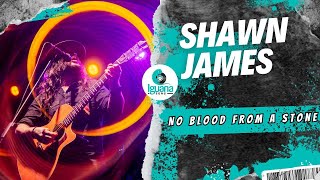 SHAWN JAMES  No blood from a Stone  Sala Metrónomo 2024 🎶 [upl. by Felicdad]